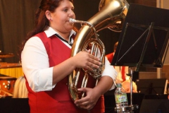 ABO Konzert 2013 - 4