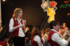 ABO Konzert 2013 - 5