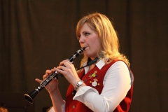 ABO_Konzert_2013_6