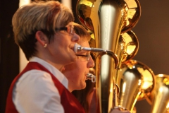 ABO_Konzert_2013_8